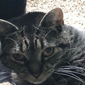 Meet your Posher, Wendy